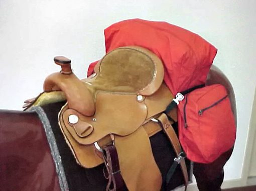 Saddle and packing gear on horse