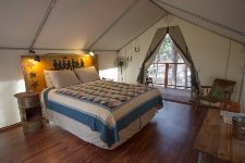 Bed in luxury Tent